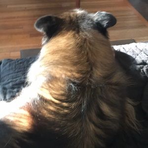 Meet your Posher, Lydia